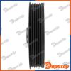 Poulie damper vilebrequin pour RENAULT | RKP-RE-000, 1003